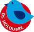 DS Holoubek logo